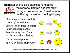Nanocorps use transformation and replication growth patterns